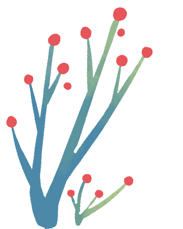 城区机动车违停高发路段集中整治 交警多措并举优化停车秩序