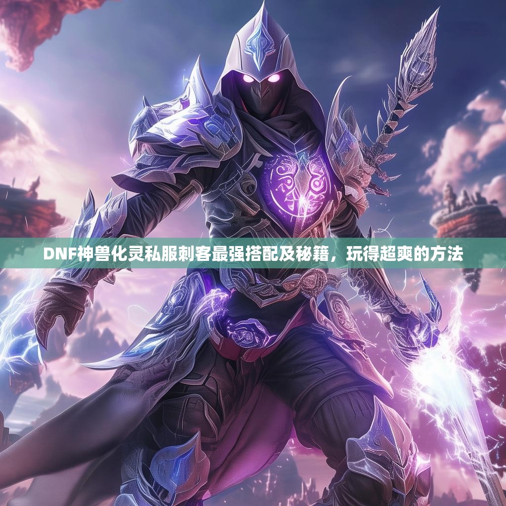 DNF神兽化灵私服刺客最强搭配及秘籍，玩得超爽的方法