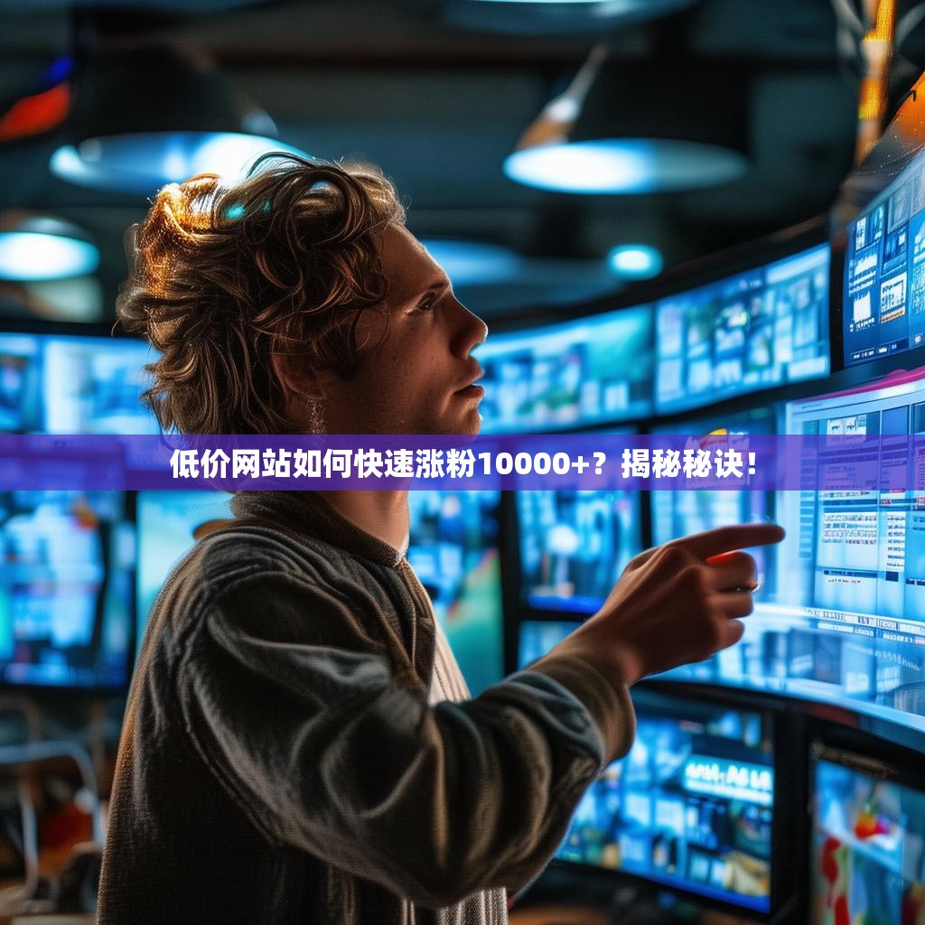 低价网站如何快速涨粉10000+？揭秘秘诀！