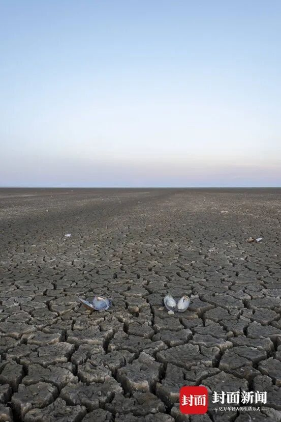 封面新闻杨峰:做一名连续六年探访灾难现场的记者