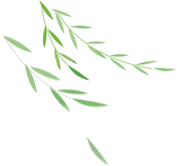 清明高速免费3天,7座及以下小车全免