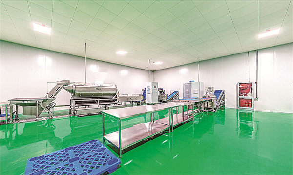 高速服务区餐饮转型:去后厨化与中央厨房建设的降本增效之道