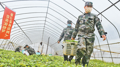 退伍老兵坚守抗疫一线，投身排查消毒等疫情防控任务