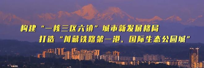 3月14日0时至24:00我市新型冠状病毒肺炎疫情最新情况|疫苗研发将优先保障安全