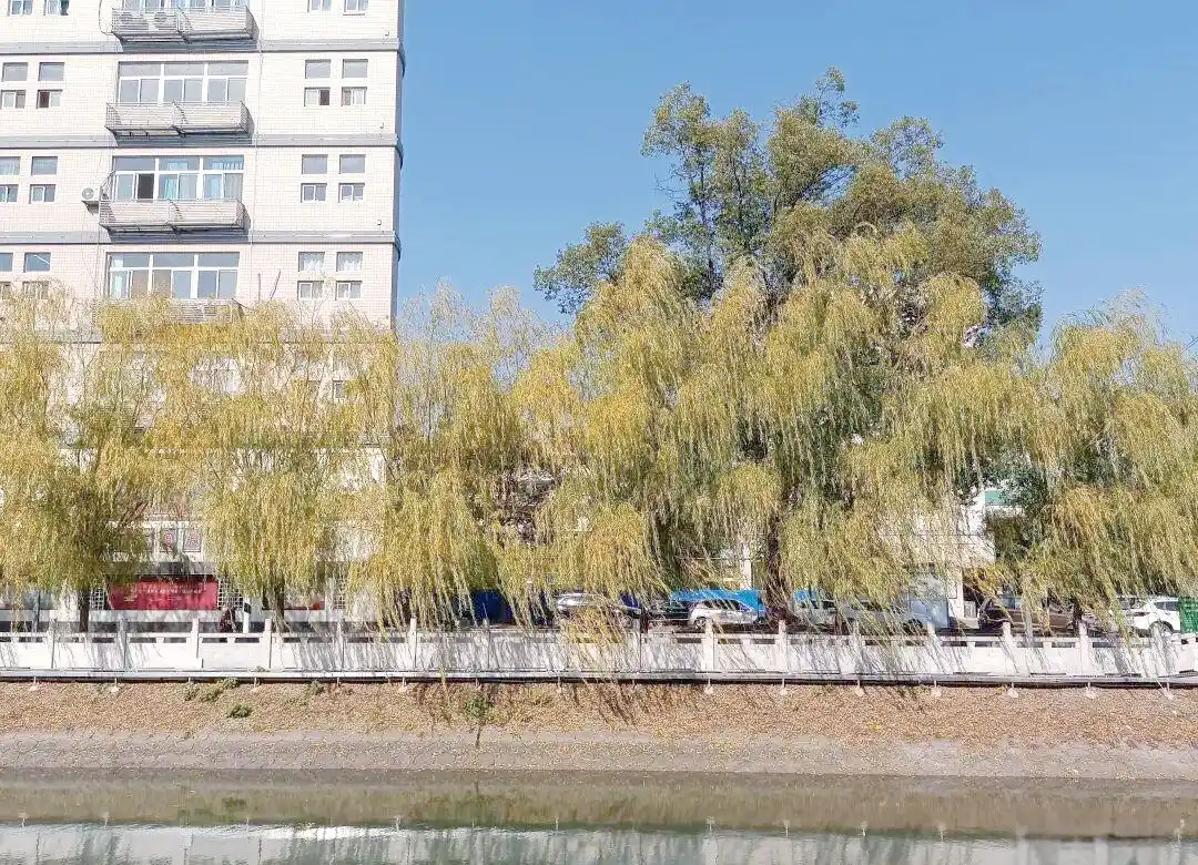 疫情下快递效率受阻，网购时消费者该如何应对物流困境？