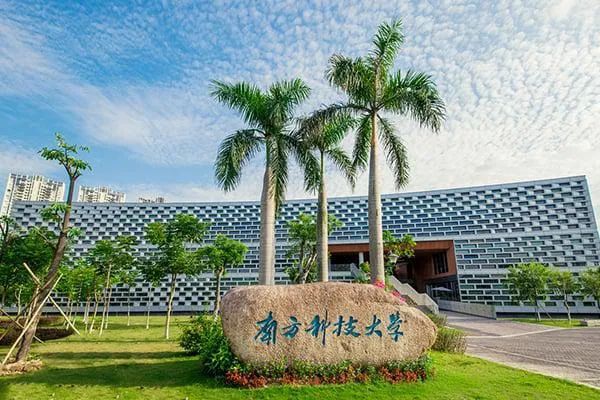 2025年深圳各高校本科高考招生计划亮点及特色介绍