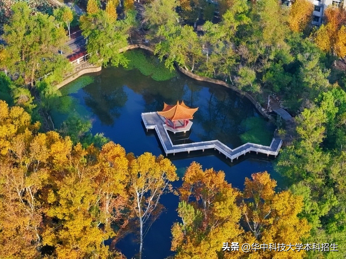 请回答2025!华中科技大学拉什