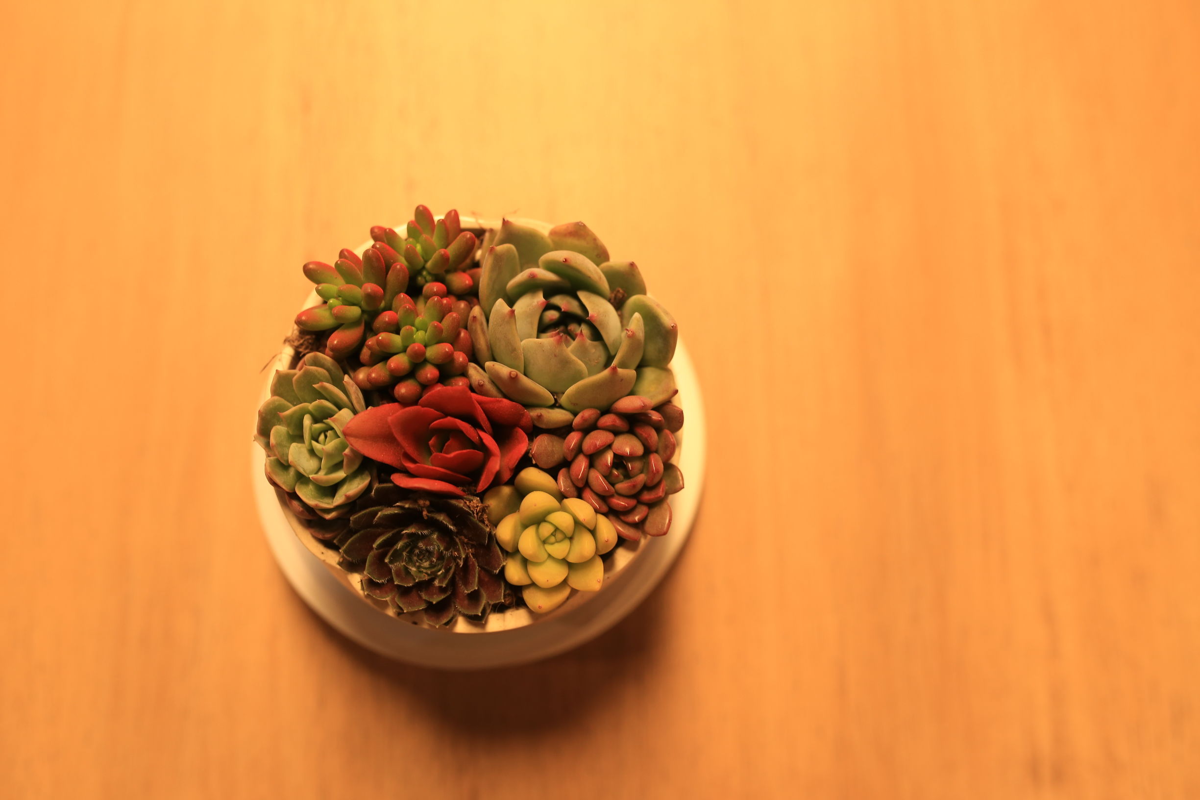 浙大玉泉校区第二食堂翻新开业,师生挤爆,美食学习两不误