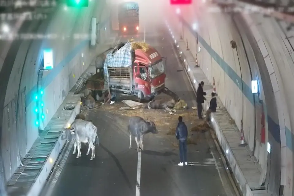 四川高速交警公布四起典型事故案例，警示驾驶员杜绝危险驾驶