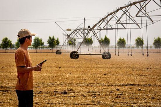 中国高校海外影响力跃升，2025年世界大学排名成绩突出